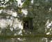 DSCN0166