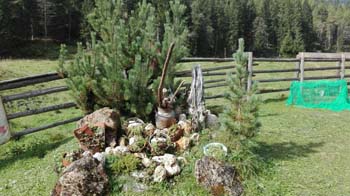325 rund um die Alm