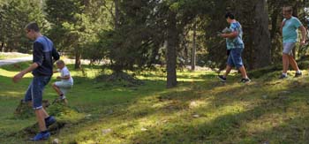 330 Wildtiere